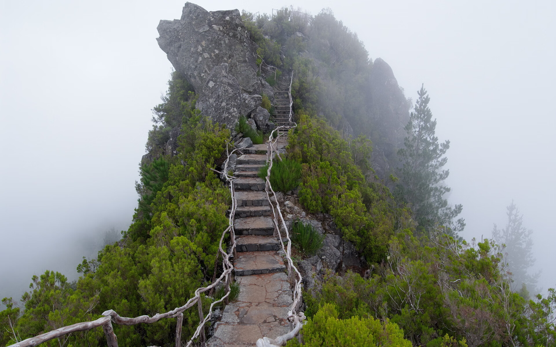 世界登山青年导师名单更新:优秀教练被邀请巡讲,世界登山协会